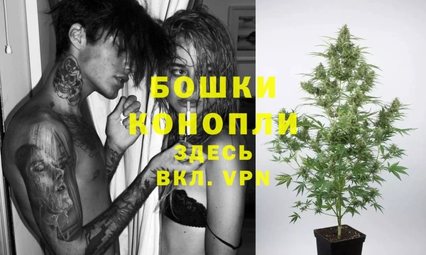 хмурый Пестово