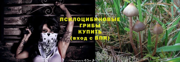 хмурый Пестово