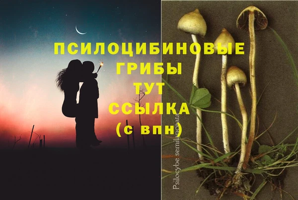 apvp Пересвет