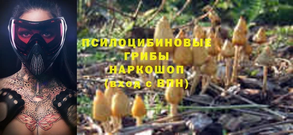 мдпв Остров