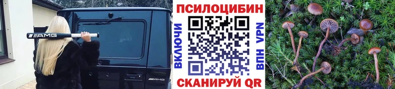 Галлюциногенные грибы Cubensis  купить  цена  нарко площадка клад  Холмск 