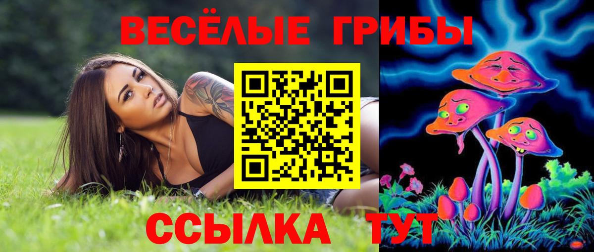 Холмск  Галлюциногенные грибы Magic Shrooms  Вход с VPN 