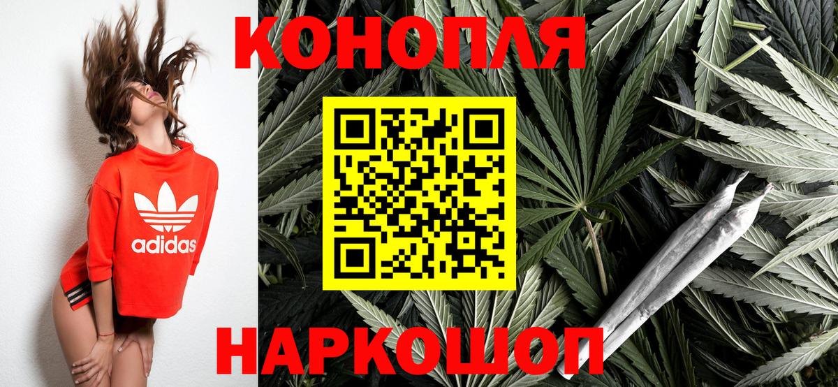 Конопля семена Холмск